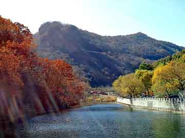 新澳天天开奖资料大全旅游团，粘泥剥离剂